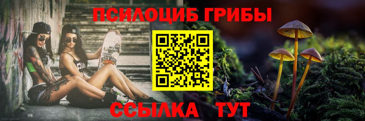 Псилоцибиновые грибы Magic Shrooms  Псилоцибиновые грибы MAGIC MUSHROOMS  Моздок  Вход с VPN 